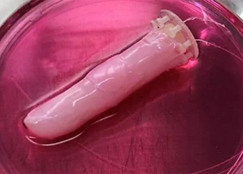 scientists create successfully living cell robots 121049