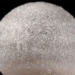 scientists create super durable bubbles that last 465 days 118500