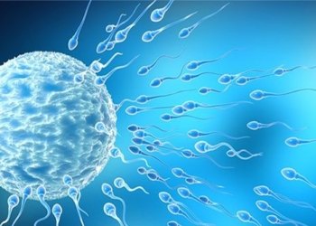 scientists explore how to 3d print testicles 119501