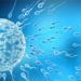 scientists explore how to 3d print testicles 119501