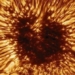 scientists find the time of the sun exploding devouring venus and mercury 118428