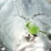 scientists have just created organisms that can live without breathing 121440