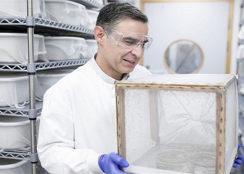 scientists know salt alters non hereditary gene disease cold 123183
