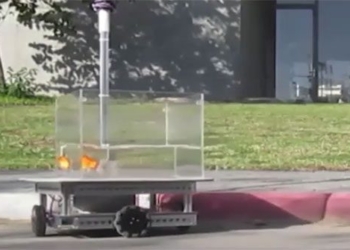 scientists train goldfish drivers to get food 118151