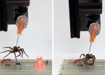scientists transform mice into robots replace people 122019