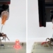 scientists transform mice into robots replace people 122019