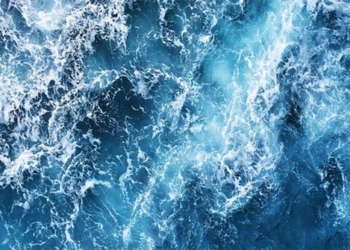 scientists warn oceans are starting to lose memory 120521