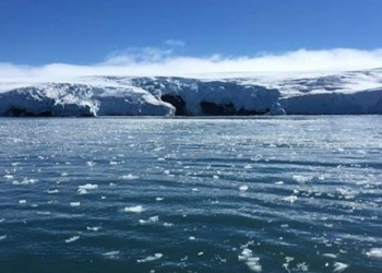 sea level could rise 5m due to south pole melting 122300