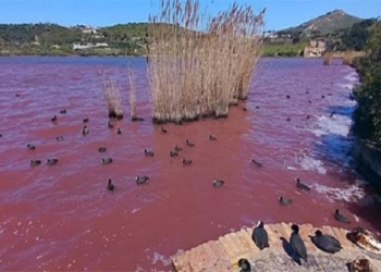 sea water volleyball turns red around super volcano 120015