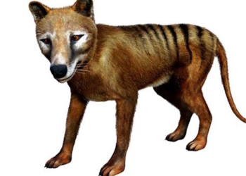 should we bring back extinct animals 122665