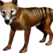 should we bring back extinct animals 122665
