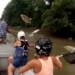 shrimp rising to the surface like corn on the cob 122222
