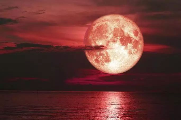 Strawberry Supermoon