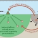 signal in the earth can detect earthquakes at light speed 120523