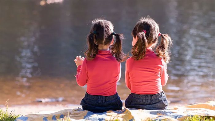 Identical twins typically have an IQ difference of no more than 7 points.