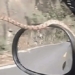 snake appears on car windshield scares driver 121914