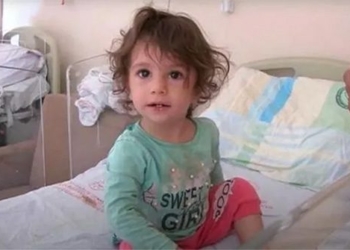 snake invades 2 year old girls room should die along with snake 122384