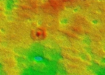 snake reef 1 300m eat under sand australia millions of years 122937
