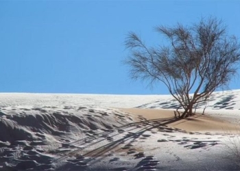 snow rare encounter white sand desert sahara 118406