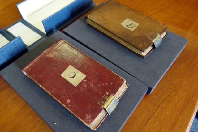 Darwin's two notebooks.