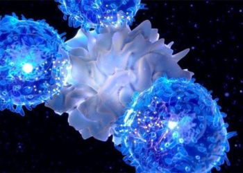 social stress causing early aging immune system 123040