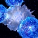 social stress causing early aging immune system 123040