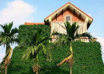 solutions to fight heat for western houses 120712
