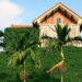 solutions to fight heat for western houses 120712