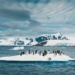 song bang doomsday in the south rapid warning climate change threatens ocean disaster 121268