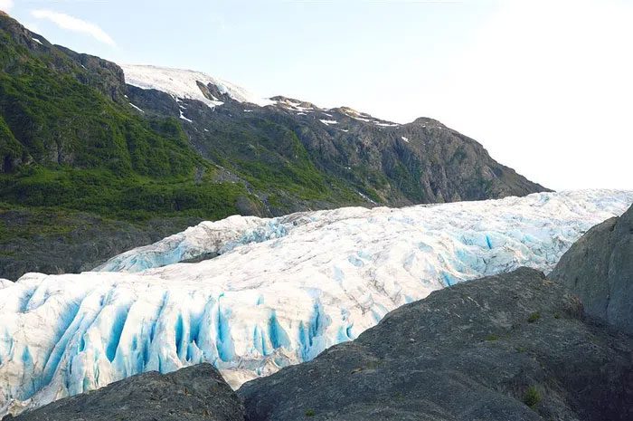 Glacier Worm