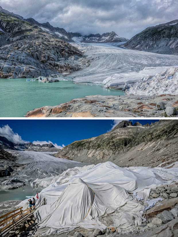 The Glaciers of the Swiss Alps Covered with Tarps