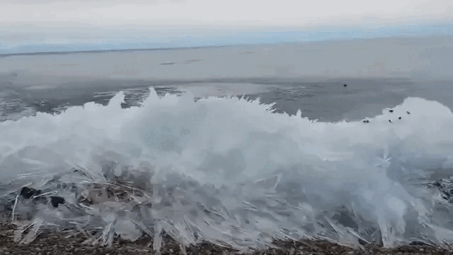Cold temperatures lead to the formation of "ice waves" along the shoreline.