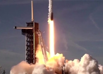 spacex tomato seeds launch to international space station 124438