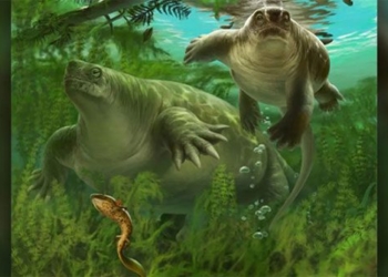 stone flower perm reveals prehistoric creatures like between mythical dragon and horse 122115