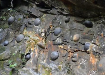 stone wall to egg in china causing scientists to be baffled 85583