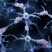 story color will open up a new hope in the treatment of alzheimers disease 121862