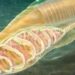strange aquatic creature may actually be the grandfather of all living beings on the planet 121606