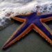 strange creatures shining under the sea 120552
