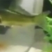 strange eye brow dance appears in be 118853