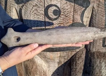 strange garden teacher finds ancient artifact after 500 years 119380
