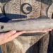 strange garden teacher finds ancient artifact after 500 years 119380