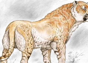 strange lion near the recent reappearance after 11 000 years of extinction 124379