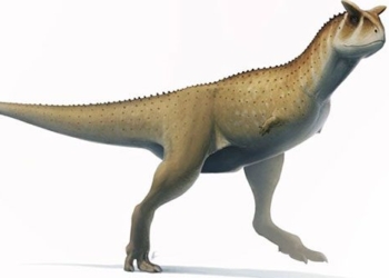 strange species of dinosaur cut off hand using head as weapon attack 118957
