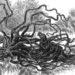 strange story about a fruit tree that eats humans 119724