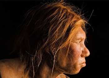 study modern humans and neanderthals have sought technology to coexist 123625