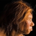 study modern humans and neanderthals have sought technology to coexist 123625