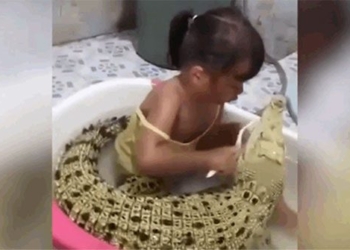 stunning girl naturally sitting in a bowl brushing teeth for crocodile 119283