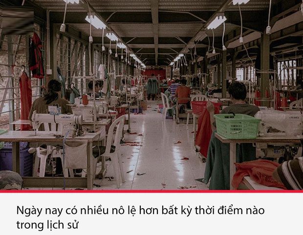 su that thu vi nhung am anh 10