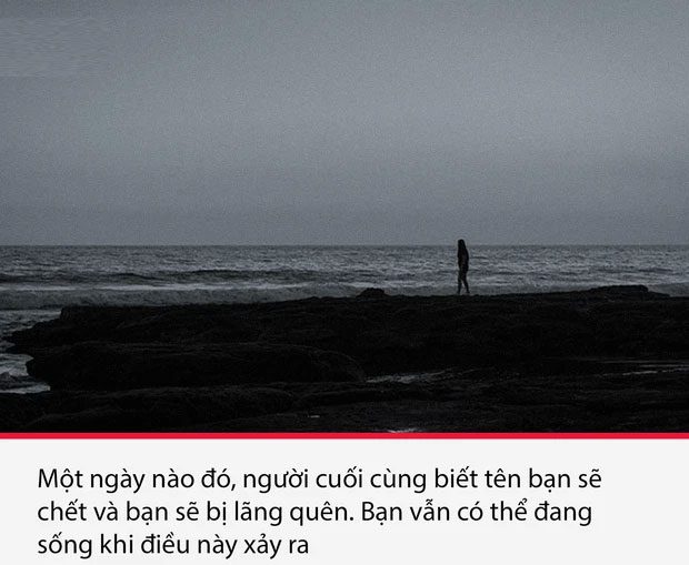 su that thu vi nhung am anh 11