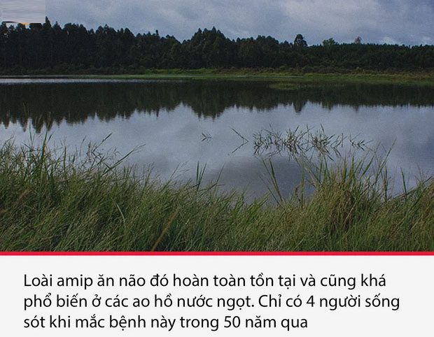 su that thu vi nhung am anh 13